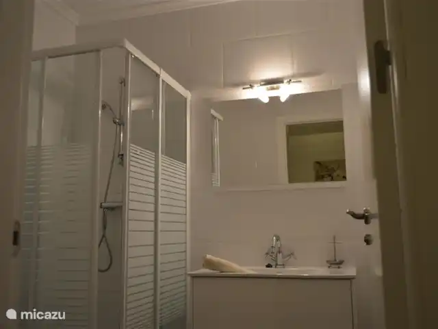 Badkamer ensuite met douche